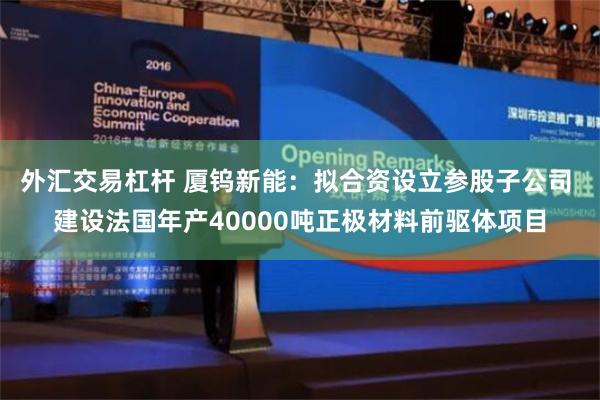 外汇交易杠杆 厦钨新能：拟合资设立参股子公司 建设法国年产40000吨正极材料前驱体项目