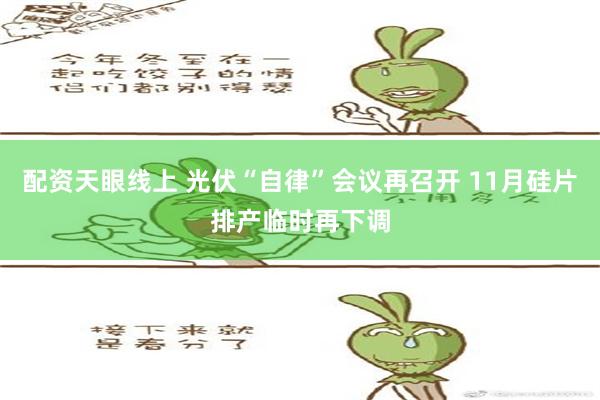 配资天眼线上 光伏“自律”会议再召开 11月硅片排产临时再下调