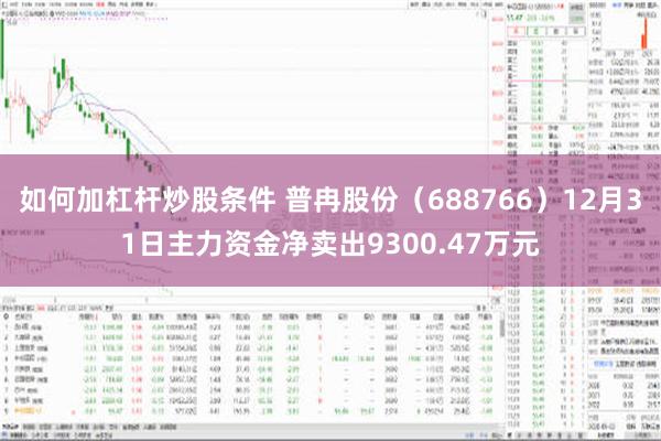 如何加杠杆炒股条件 普冉股份（688766）12月31日主力资金净卖出9300.47万元