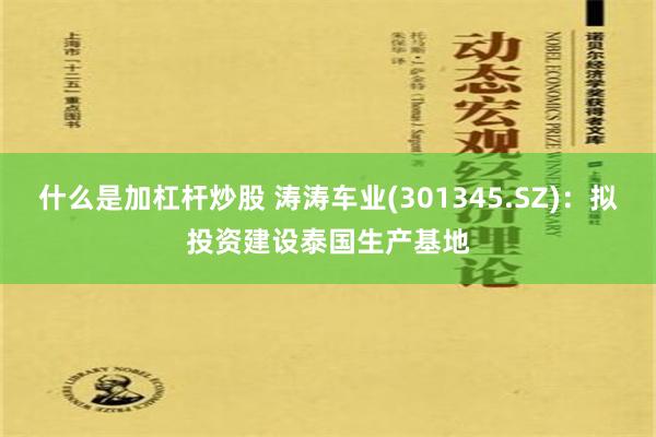 什么是加杠杆炒股 涛涛车业(301345.SZ)：拟投资建设泰国生产基地