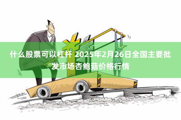 什么股票可以杠杆 2025年2月26日全国主要批发市场杏鲍菇价格行情